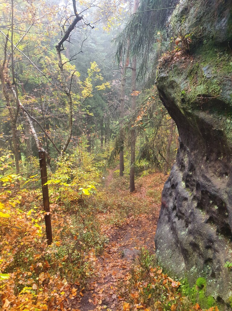 Mystik im Zittauer Gebirge: der O-SEE Ultra Trai 2022
