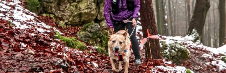 MountainMan Nikolaus Trail 2022