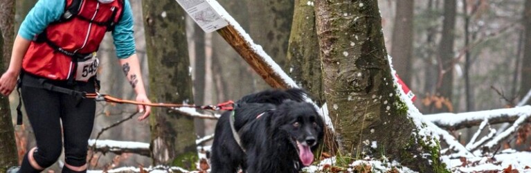 MountainMan Nikolaus Trail 2022