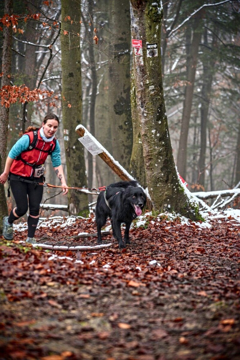 MountainMan Nikolaus Trail 2022