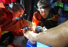 Erste-Hilfe-Einsatz der Medical Crew