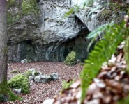 Ultratrail Fränkische Schweiz (UTFS) 2023