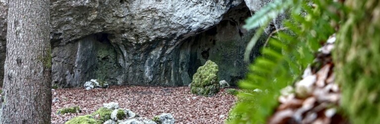 Ultratrail Fränkische Schweiz (UTFS) 2023