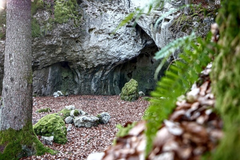 Ultratrail Fränkische Schweiz (UTFS) 2023