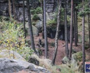 O-SEE Ultra Trail 2023