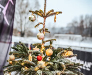 MOUNTAINMAN Niklolaus-Trail 2023