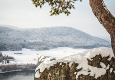 MOUNTAINMAN Niklolaus-Trail 2023