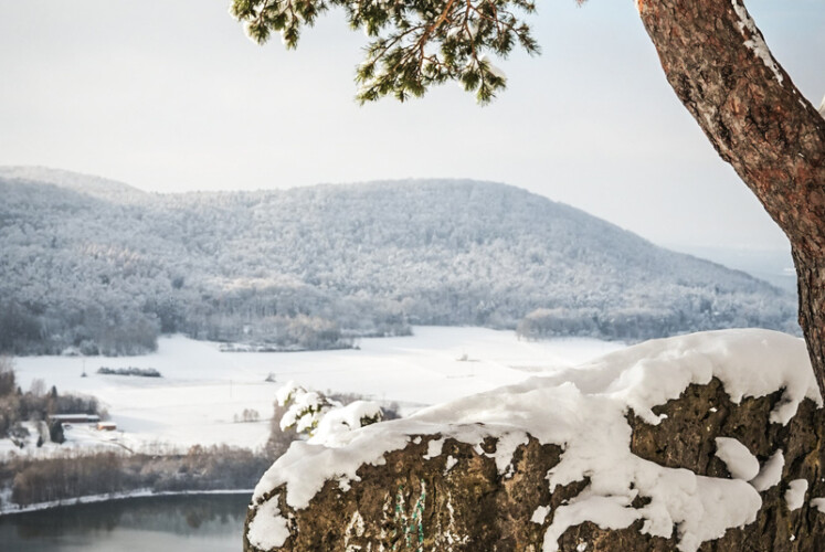 MOUNTAINMAN Niklolaus-Trail 2023