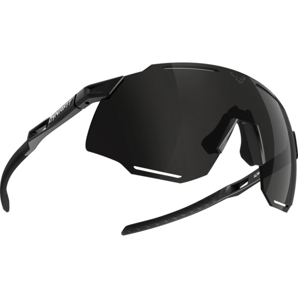 Dynafit Alpine 3 Sportbrille