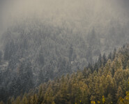 Natur, Berge und Nachhaltigkeites Trailrunning