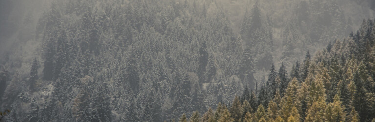 Natur, Berge und Nachhaltigkeites Trailrunning