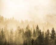 Natur, Berge und Nachhaltigkeites Trailrunning