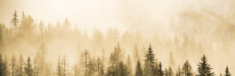 Natur, Berge und Nachhaltigkeites Trailrunning