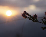 Natur, Berge und nachhaltiges Trailrunning