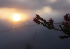 Natur, Berge und nachhaltiges Trailrunning