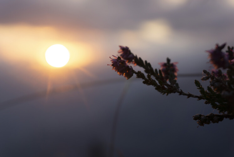 Natur, Berge und nachhaltiges Trailrunning