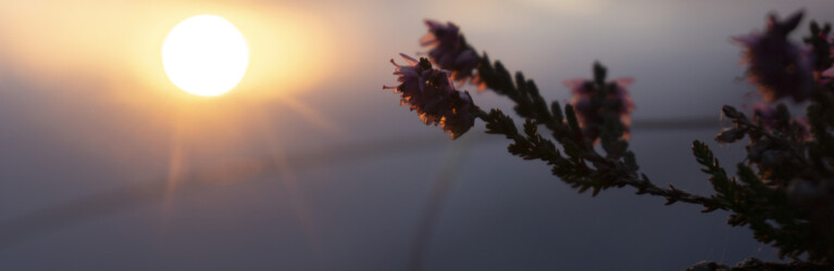Natur, Berge und nachhaltiges Trailrunning