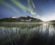 Natur, Berge und Nachhaltigkeites Trailrunning