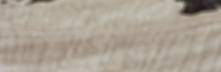 Natur, Berge und Nachhaltigkeites Trailrunning