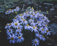 Natur, Berge und Nachhaltigkeites Trailrunning