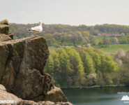 Hammer Trail Bornholm 2024