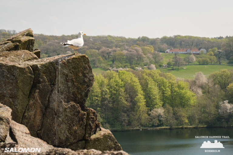 Hammer Trail Bornholm 2024