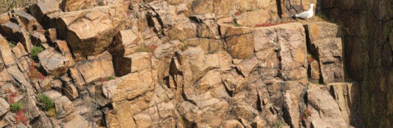 Hammer Trail Bornholm 2024