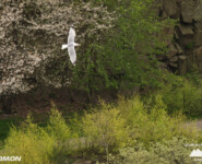 Hammer Trail Bornholm 2024