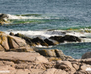 Hammer Trail Bornholm 2024