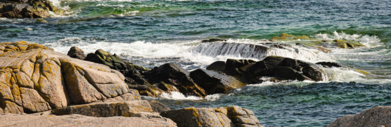 Hammer Trail Bornholm 2024