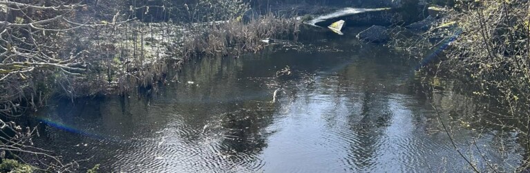 Hammer Trail Bornholm 2024