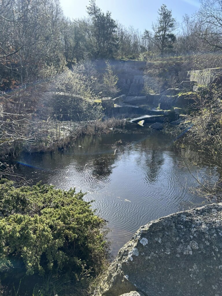 Hammer Trail Bornholm 2024