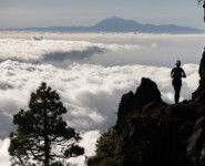 Transvulcania 2024