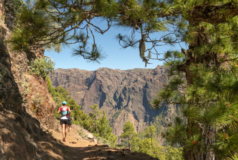 Transvulcania 2024