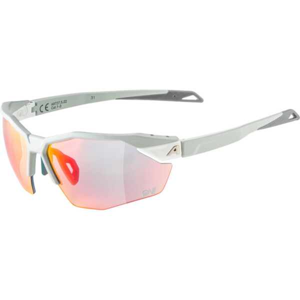 Alpina Twist Six S HR QV 1-3 Sportbrille