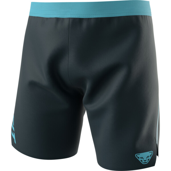 Dynafit Herren Alpine Shorts