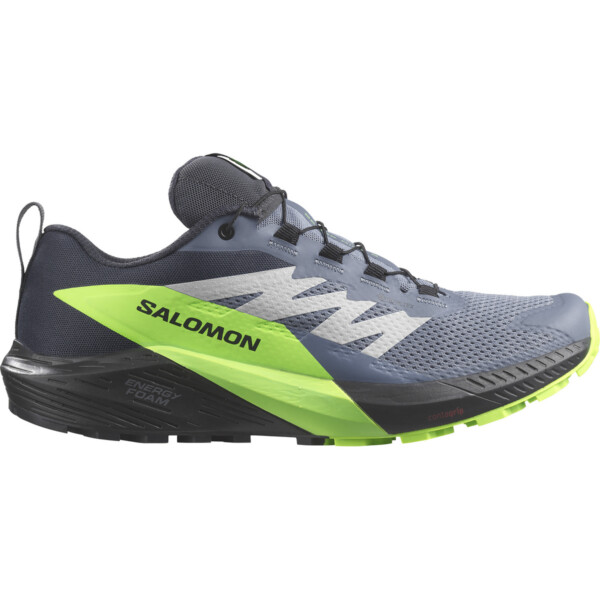 Salomon Herren Sense Ride 5 GTX Schuhe