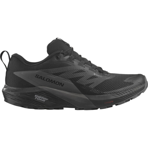 Salomon Herren Sense Ride 5 GTX Schuhe