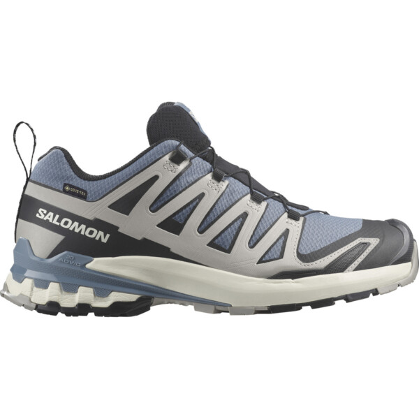 Salomon Herren Xa Pro 3D V9 GTX Schuhe