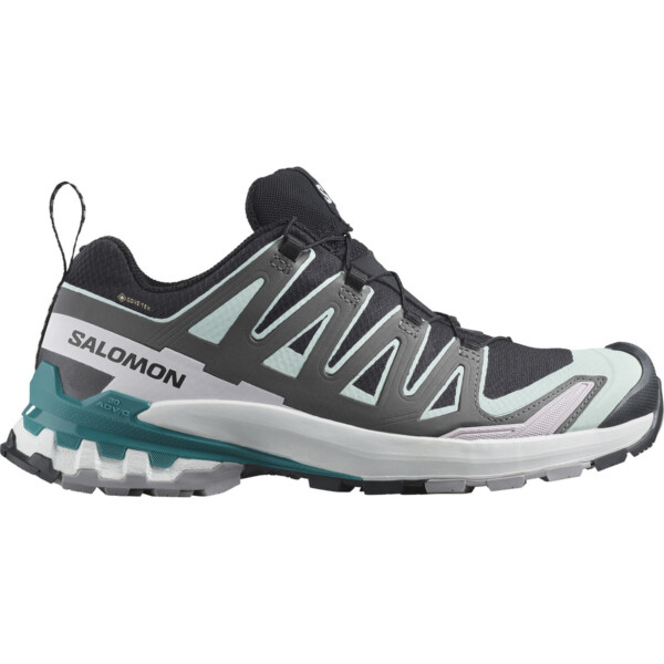 Salomon Damen Xa Pro 3D V9 GTX Schuhe