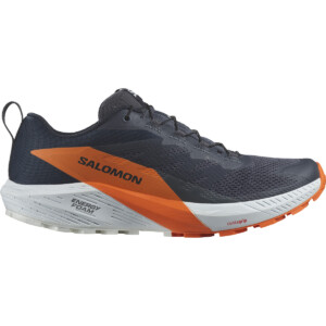 Salomon Herren Sense Ride 5 GTX Schuhe