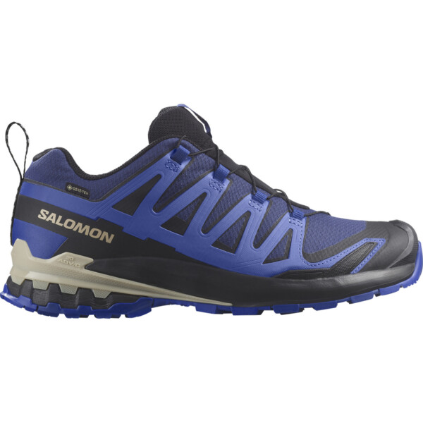 Salomon Herren Xa Pro 3D V9 GTX Schuhe