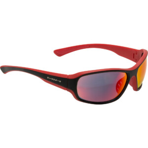 Swiss Eye Freeride Radbrille