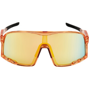 CHPO Henrik Polarized Sportbrille