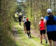 Horsky Pulmaraton Susice 2025