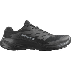 Salomon Herren Alphaglide GTX Schuhe