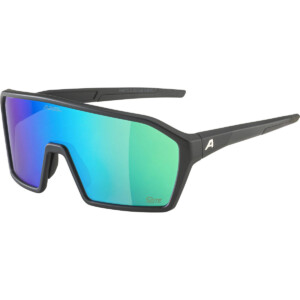 Alpina RAM Q-Lite Sportbrille