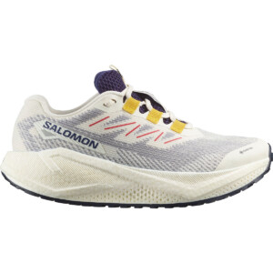 Salomon Damen Aero Blaze 3 GRVL GTX Schuhe
