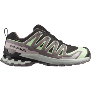 Salomon Damen Xa Pro 3D V9 GTX Schuhe