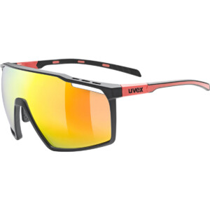 Uvex MTN Perform Sportbrille